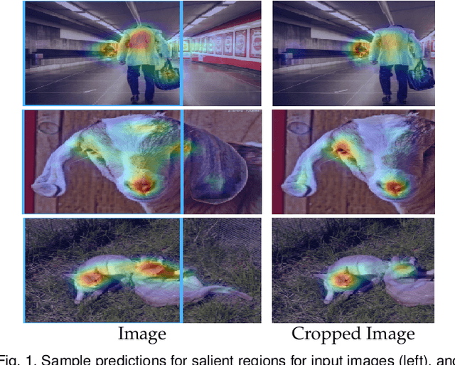 Figure 1 for Position, Padding and Predictions: A Deeper Look at Position Information in CNNs