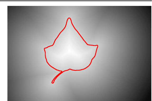 Figure 1 for Iterative graph cuts for image segmentation with a nonlinear statistical shape prior