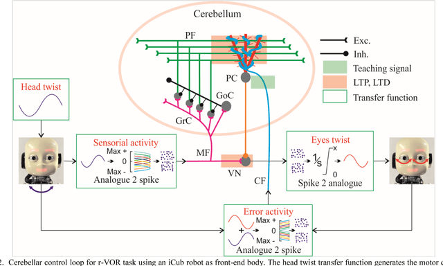 Figure 2 for Exploring vestibulo-ocular adaptation in a closed-loop neuro-robotic experiment using STDP. A simulation study