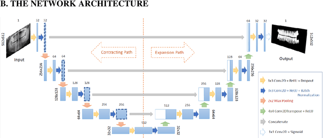 Figure 3 for Tooth Instance Segmentation on Panoramic Dental Radiographs Using U-Nets and Morphological Processing