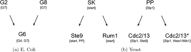 Figure 3 for Target Curricula via Selection of Minimum Feature Sets: a Case Study in Boolean Networks