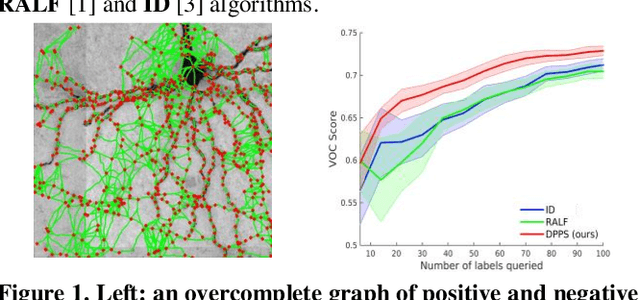 Figure 1 for Active Learning for Delineation of Curvilinear Structures
