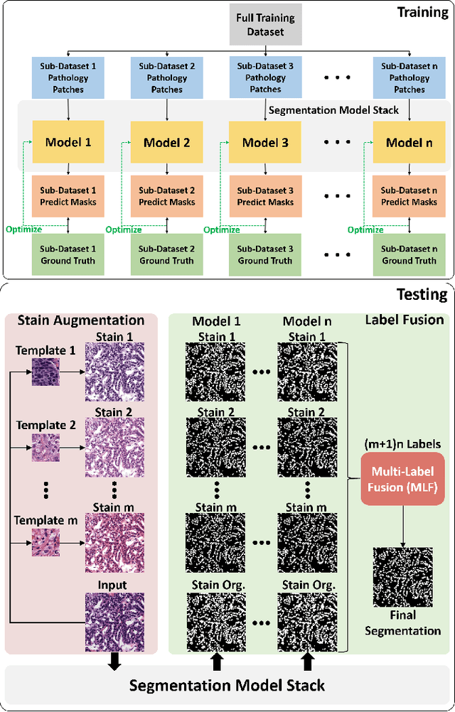 Figure 3 for BEDS: Bagging ensemble deep segmentation for nucleus segmentation with testing stage stain augmentation