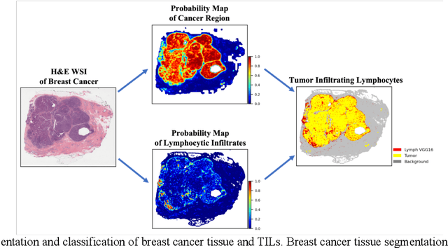 Figure 2 for AI and Pathology: Steering Treatment and Predicting Outcomes