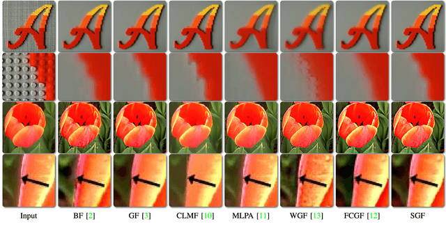 Figure 2 for Interpreting and Extending The Guided Filter Via Cyclic Coordinate Descent