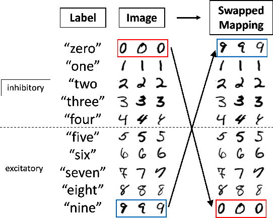 Figure 2 for Need is All You Need: Homeostatic Neural Networks Adapt to Concept Shift