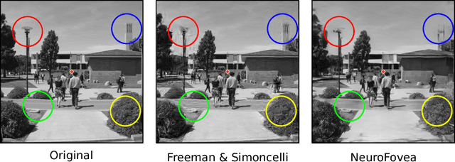 Figure 1 for Towards Metamerism via Foveated Style Transfer