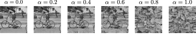 Figure 2 for Towards Metamerism via Foveated Style Transfer