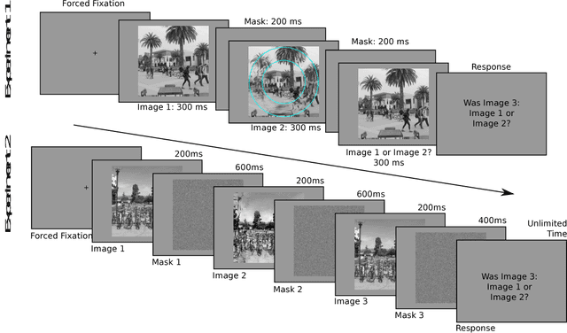 Figure 4 for Towards Metamerism via Foveated Style Transfer
