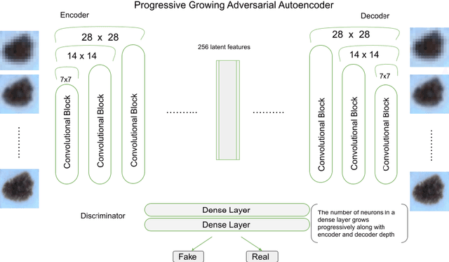 Figure 3 for Explainable Deep Image Classifiers for Skin Lesion Diagnosis