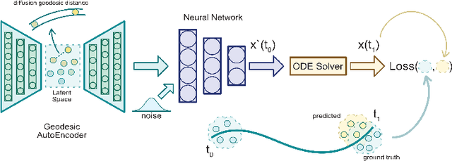 Figure 1 for Manifold Interpolating Optimal-Transport Flows for Trajectory Inference