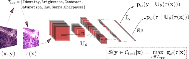 Figure 3 for Test Time Transform Prediction for Open Set Histopathological Image Recognition