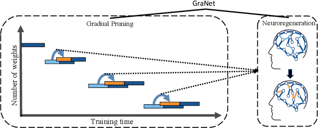 Figure 1 for Sparse Training via Boosting Pruning Plasticity with Neuroregeneration
