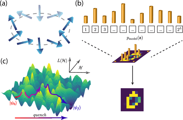 Figure 1 for Many-body localized hidden Born machine