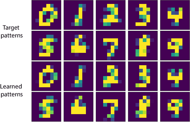 Figure 2 for Many-body localized hidden Born machine