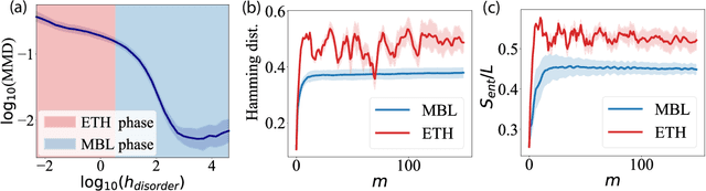 Figure 4 for Many-body localized hidden Born machine