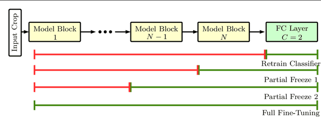 Figure 3 for Deep Transfer Learning Methods for Colon Cancer Classification in Confocal Laser Microscopy Images