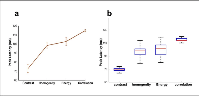 Figure 3 for The Neural Correlates of Image Texture in the Human Vision Using Magnetoencephalography
