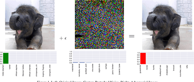 Figure 1 for Protecting JPEG Images Against Adversarial Attacks