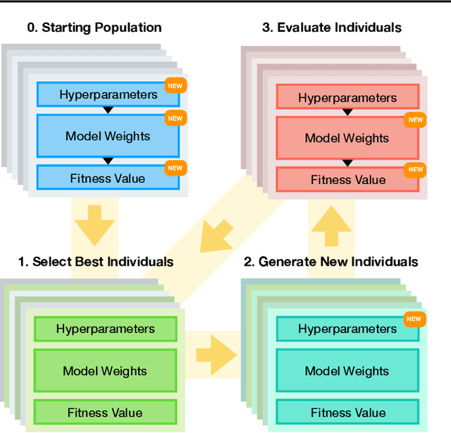 Figure 1 for Population-Based Training for Loss Function Optimization