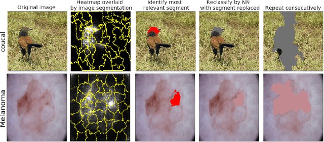 Figure 1 for IROF: a low resource evaluation metric for explanation methods