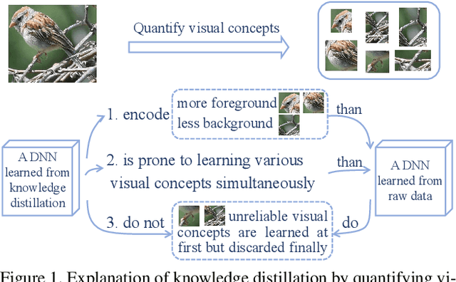 Figure 1 for Explaining Knowledge Distillation by Quantifying the Knowledge