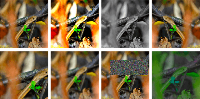 Figure 3 for Solutions for Fine-grained and Long-tailed Snake Species Recognition in SnakeCLEF 2022