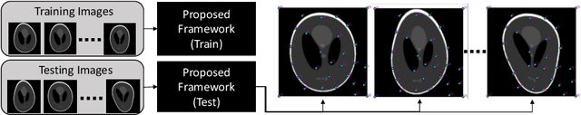 Figure 1 for Self-Supervised Discovery of Anatomical Shape Landmarks