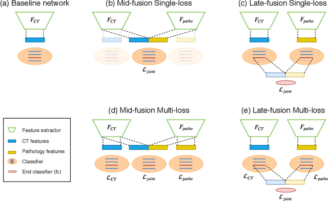 Figure 2 for Deep Learning based NAS Score and Fibrosis Stage Prediction from CT and Pathology Data