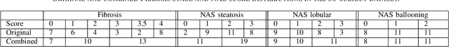 Figure 4 for Deep Learning based NAS Score and Fibrosis Stage Prediction from CT and Pathology Data