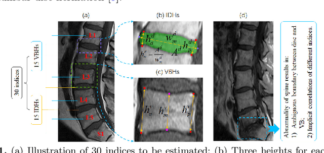 Figure 1 for Direct Automated Quantitative Measurement of Spine via Cascade Amplifier Regression Network