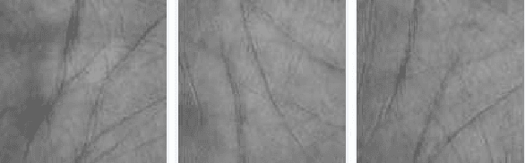 Figure 1 for Multispectral Palmprint Recognition Using Textural Features