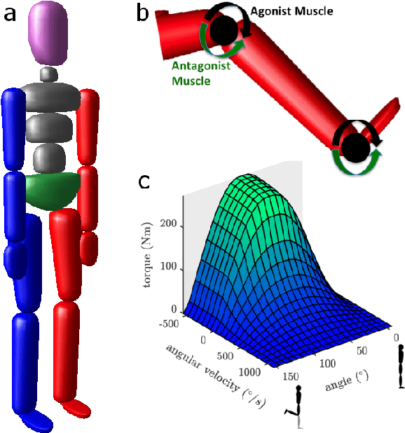 Figure 1 for Optimizing wearable assistive devices with neuromuscular models and optimal control