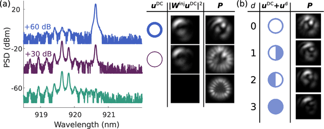 Figure 2 for A complete, parallel and autonomous photonic neural network in a semiconductor multimode laser