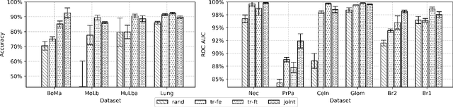 Figure 4 for Multi-task pre-training of deep neural networks for digital pathology