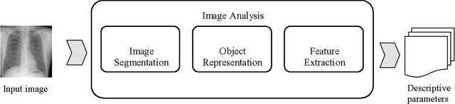 Figure 1 for Gradient Based Seeded Region Grow method for CT Angiographic Image Segmentation