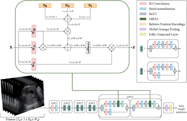 Figure 1 for BabyNet: Residual Transformer Module for Birth Weight Prediction on Fetal Ultrasound Video