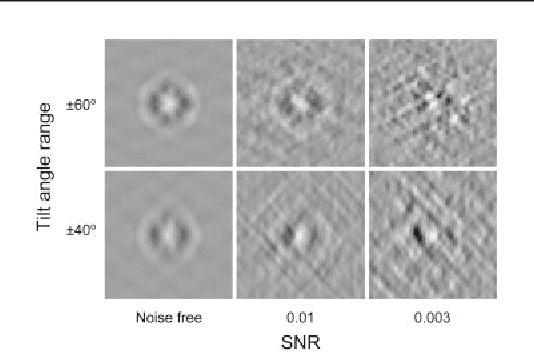Figure 3 for An integration of fast alignment and maximum-likelihood methods for electron subtomogram averaging and classification