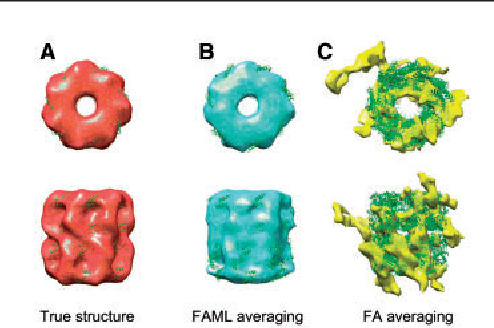 Figure 4 for An integration of fast alignment and maximum-likelihood methods for electron subtomogram averaging and classification
