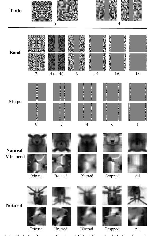 Figure 2 for Symmetry Perception by Deep Networks: Inadequacy of Feed-Forward Architectures and Improvements with Recurrent Connections