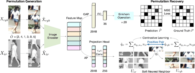 Figure 2 for Self-Supervised Modality-Aware Multiple Granularity Pre-Training for RGB-Infrared Person Re-Identification