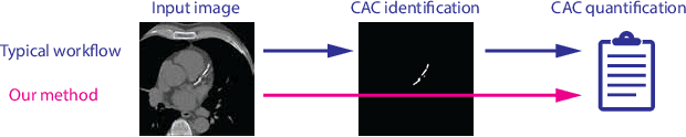 Figure 1 for Direct Automatic Coronary Calcium Scoring in Cardiac and Chest CT