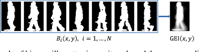 Figure 1 for Remote Pathological Gait Classification System
