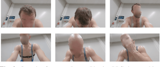 Figure 3 for Heart rate estimation in intense exercise videos