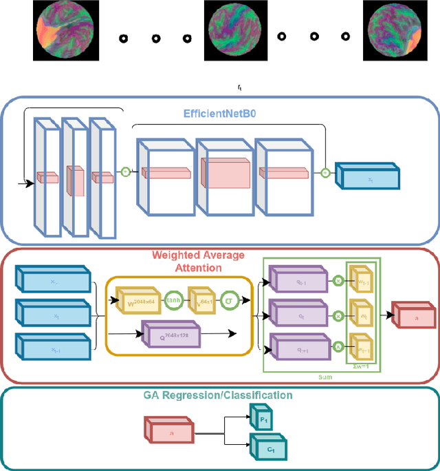 Figure 3 for Multi-view Attention for gestational age at birth prediction