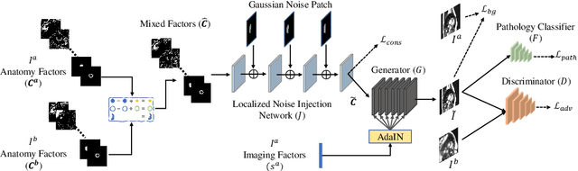 Figure 3 for Controllable cardiac synthesis via disentangled anatomy arithmetic