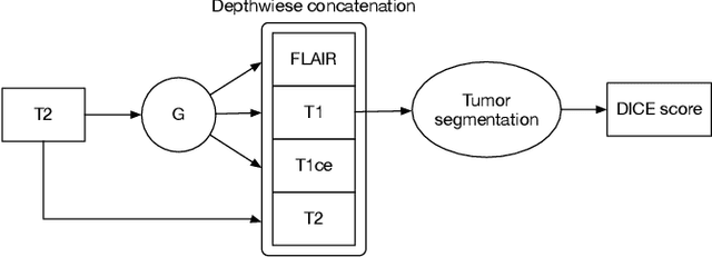 Figure 3 for Multi-Modality Generative Adversarial Networks with Tumor Consistency Loss for Brain MR Image Synthesis