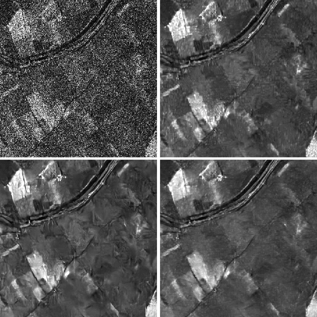 Figure 4 for Deep learning methods for SAR image despeckling: trends and perspectives
