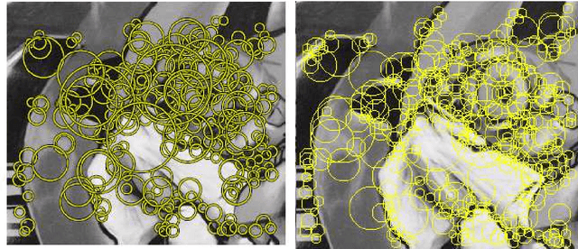 Figure 1 for Adaboost with "Keypoint Presence Features" for Real-Time Vehicle Visual Detection