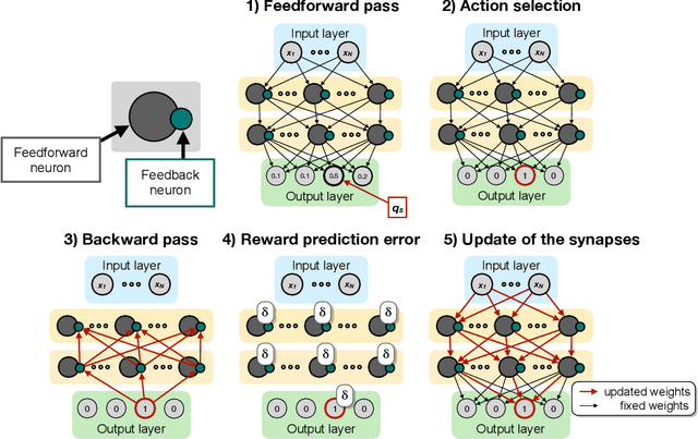 Figure 1 for A Biologically Plausible Learning Rule for Deep Learning in the Brain